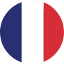 French flag icon